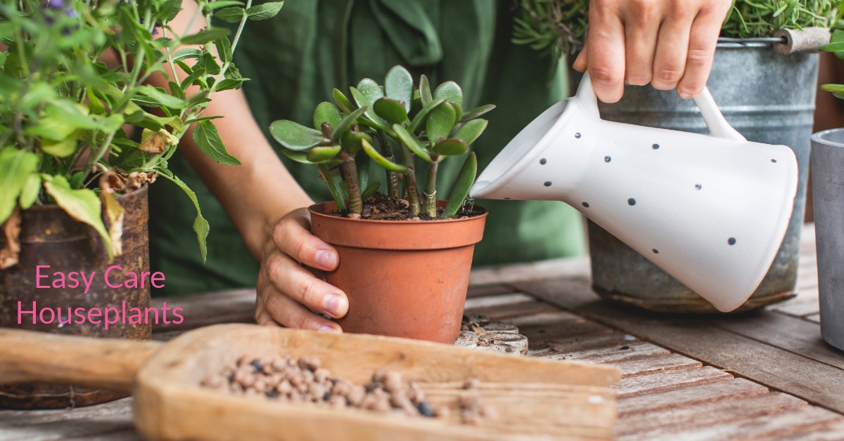 Fertilizer Tips